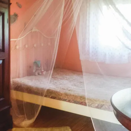 Apartamento Pet Friendly In Retowo 4